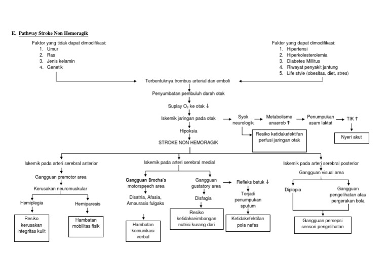 Pathway Stroke Non Hemoragik PDF