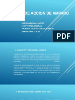 Proceso de Accion de Amparo