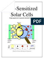 DSSC_manual production.pdf