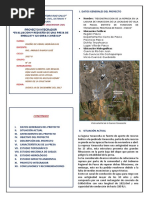 Resumen Ejecutivo Presa Yanacocha