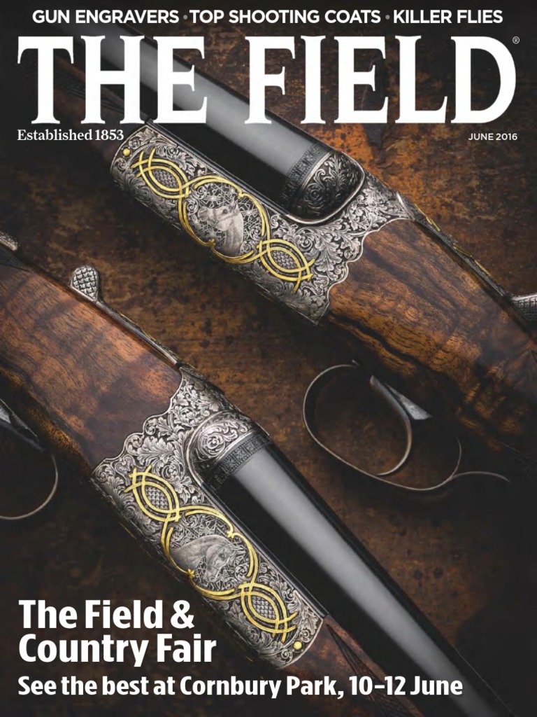 TField - June 2016 PDF | PDF | Paintings