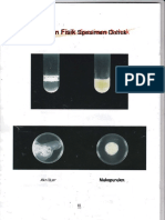 tampilan fisik spesimen dahak2 (1).doc