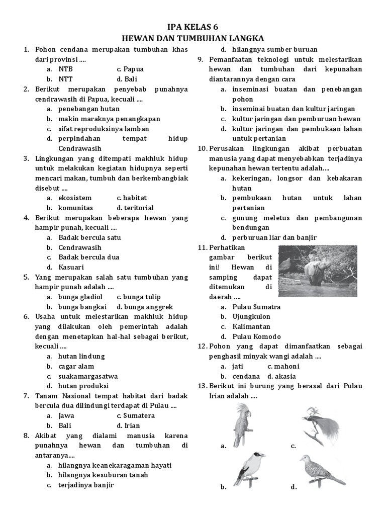 Soal Ipa Kelas 6 Hewan Dan Tumbuhan Langka