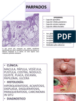 Anatomía y patología de párpados, orbita, conjuntiva y cornea