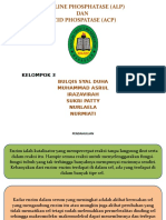 Alkaline Phosphatase (Alp)