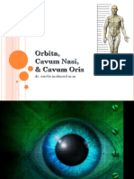 Cavum Orbita