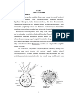 Album Foraminifera Ndes - 1