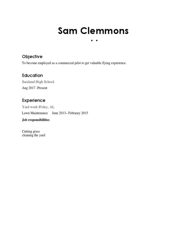 Example of Resume Template PDF Aviation