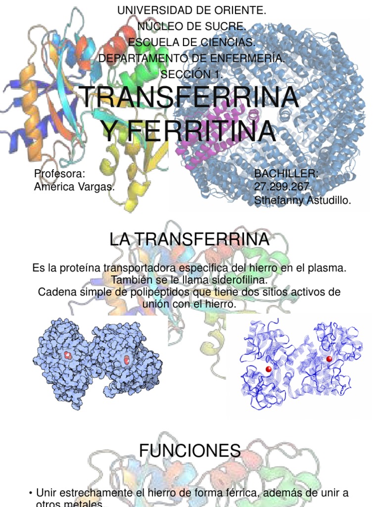 Transferrina y Ferritina | PDF | Hierro | Biología