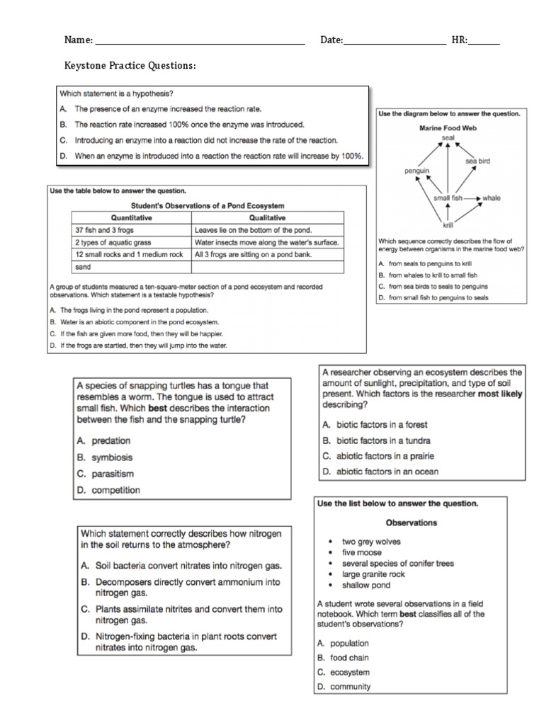 Keystone Practice Questions Form | PDF | Career & Growth | Finance ...