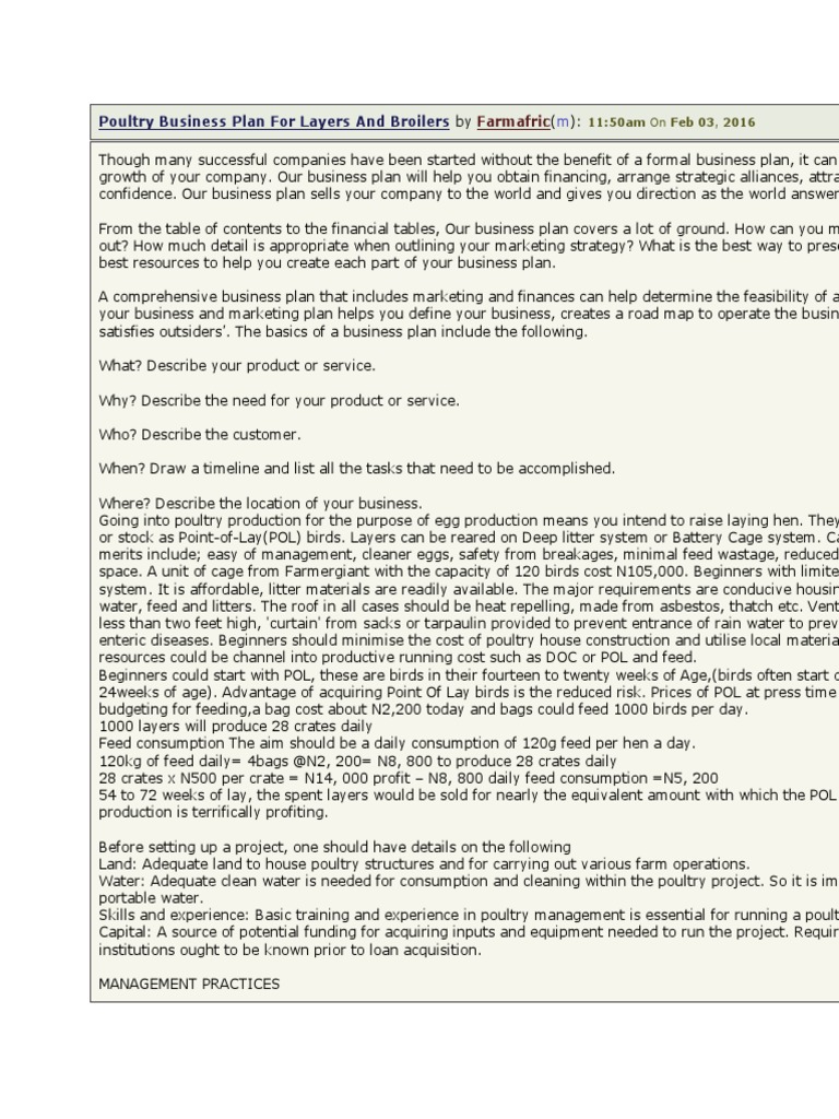 Poultry Business Plan For Layers and Broilers  PDF  Chicken With Free Poultry Business Plan Template