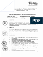 Directiva General n 007-2017 Normas Para La Aplicaci n Del r Gimen Laboral Especial de Contratacion
