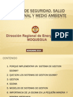 8_Sistema_Gestion_Seguridad.pdf