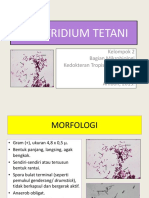 Kelompok 2 Clostridium Tetani 1