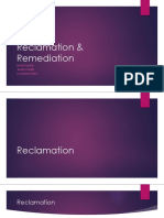 Reclamation & Remediation