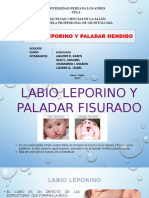 Labio y Paladar