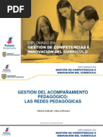 PPT Acompañamiento 12Nov 2017