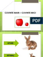 Cuvinte Mari - Cuvinte Mici - PPSX