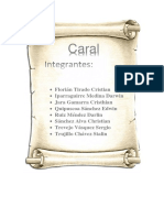 Caral Informe