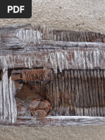 Artigo_gloria Diogenes_pixo e Politica