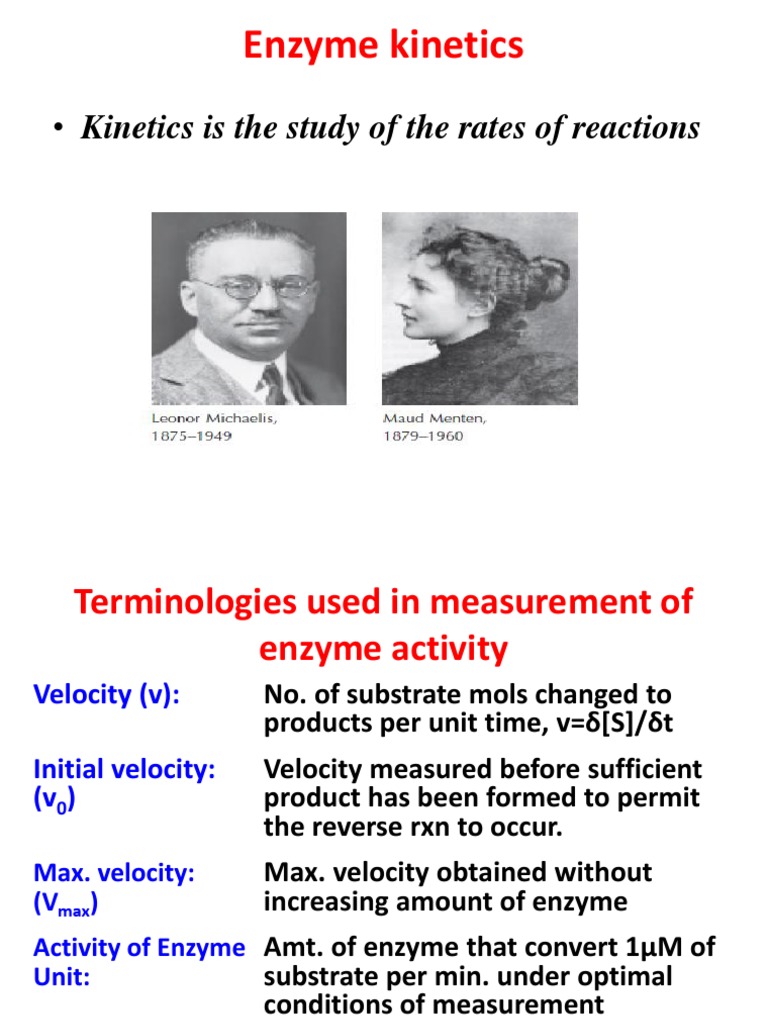 Enzyme Mechanism and Inhibition PDF Enzyme Inhibitor