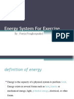Energy System For Exercise