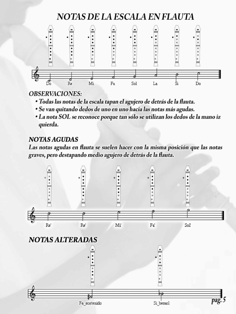 Pag 5 NOTAS DE ESCALA EN FLAUTA PDF | PDF