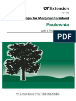 PAULOWNIA TENESSE.pdf