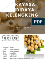 Rekayasa Organ Target Buah Kelengkeng