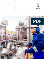 Dea Annual Report 2014