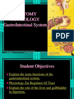 Anatomy Physiology Gastrointestinal System