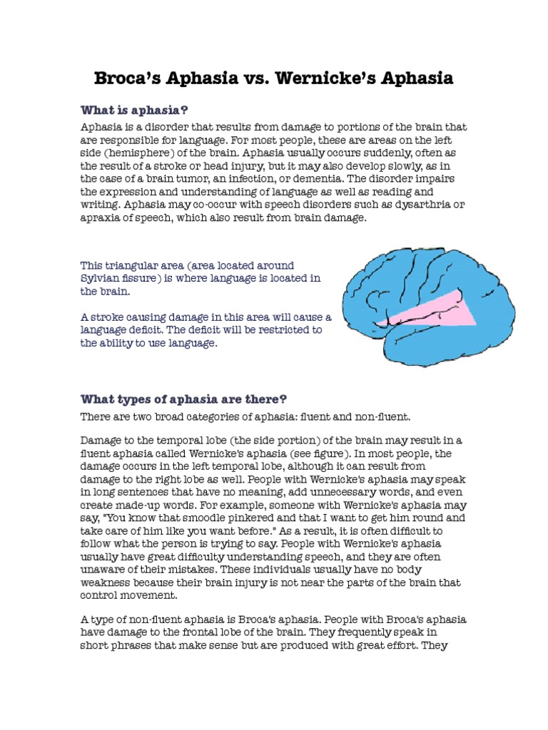 Broca’s vs Wernickes Doc | Aphasia | Speech