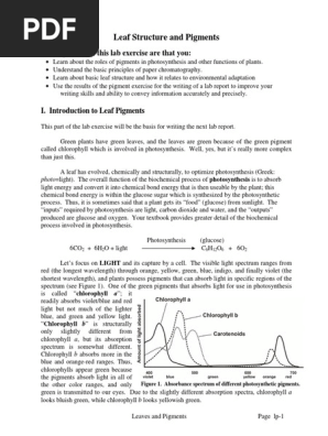 Leaves and Pigments.pdf