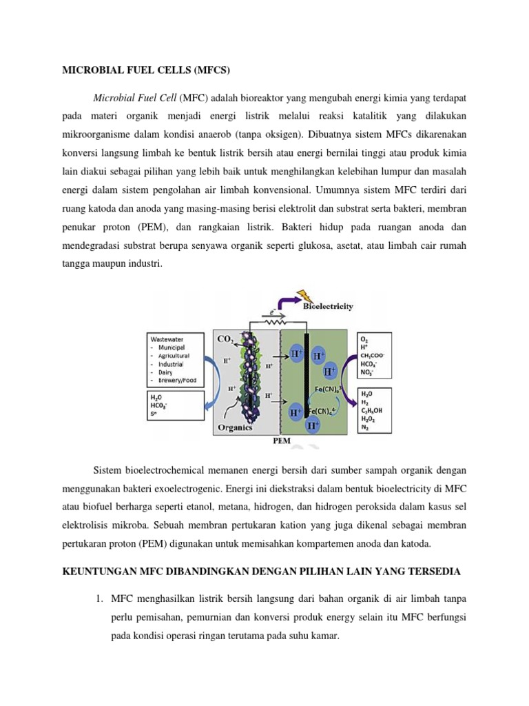 Pengenalan Microbial Fuel Cell (MFC) | PDF | Griya & Taman | Sains ...