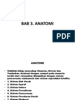 Bab III Anatomi