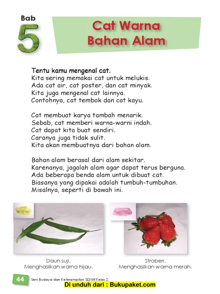 Bab 5 Cat Warna Bahan Alam