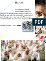 Askep Pada Klien Flu Burung(Avian Influenza)