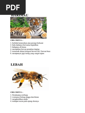 9000 Koleksi Gambar Hewan Beserta Ciri Cirinya HD Terbaik