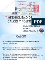 metabolismodecalcioyfosforo-110224082227-phpapp01