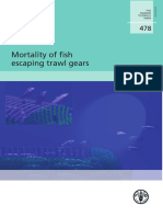 Mortality of Fish Escaping Trawl Gears