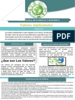 valor ambiental.pdf