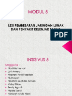 Modul 5