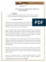 PRACTICA 8.docx