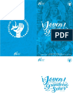 Plan Nacional de Pastoral Juvenil 2017-2020 (3)