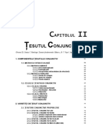 Tesut Conjunctiv Caruntu PDF