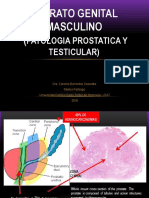 1.- Patologia Prostatica y Testicular