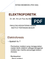 Elektroforetik Rev.03