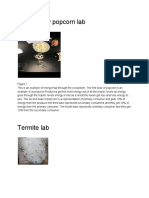 Energy Flow Lab Popcorn Lab 7
