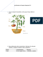 Trabajo Práctico de Ciencias Naturales 1