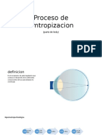 Proceso de Metropizacion